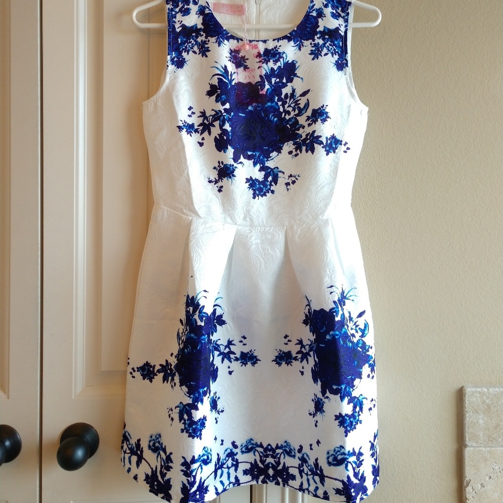 Blue and White dress